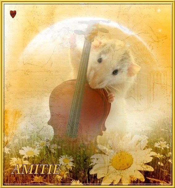 amitié