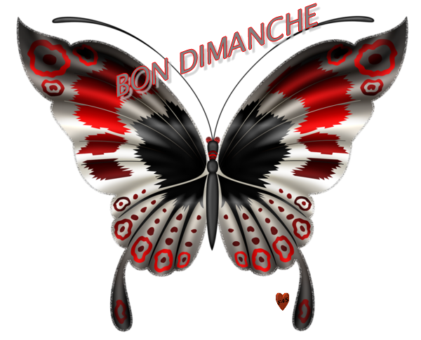 bon dimanche