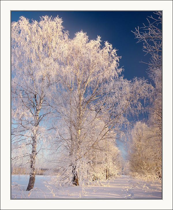 Paysage de neige