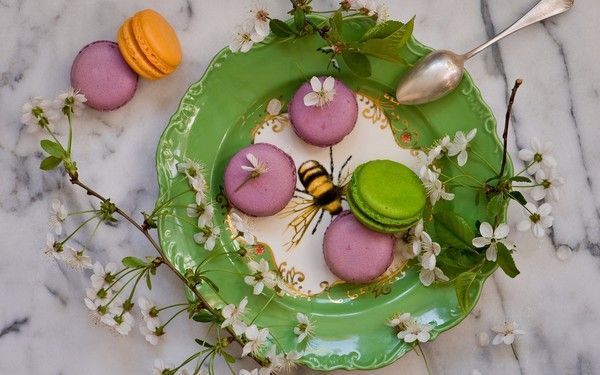 belle image de macarons