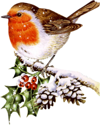 Christmasbird01_dhedey.png