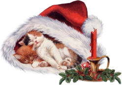Christmaskitties01_dhedey.png