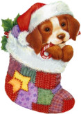 Christmaspuppy03_dhedey.png