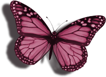 MC_ScrapsAlot_ButterflyGarden_E01.png