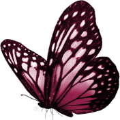 MC_ScrapsAlot_ButterflyGarden_E03.png