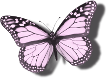MC_ScrapsAlot_ButterflyGarden_E05.png