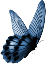 MC_ScrapsAlot_ButterflyGarden_E07.png