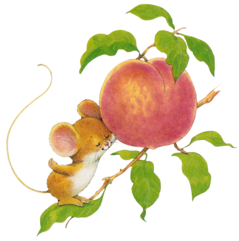 RM-Mouse-Peach_molly.png
