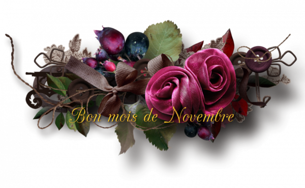 mon tube bon mois de novembre