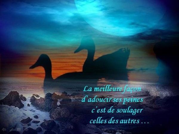 citation