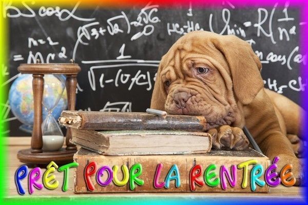 sublime j'adore merci beaucoup