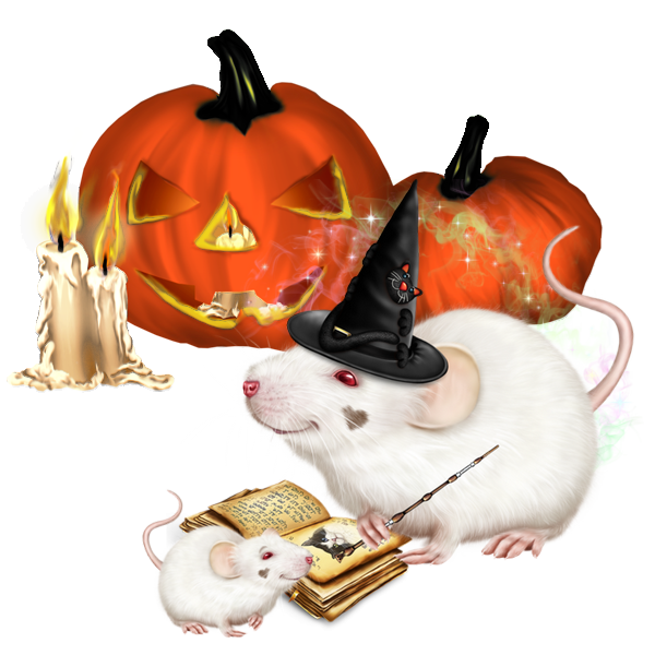 mon tube animaux halloween pour vos créas