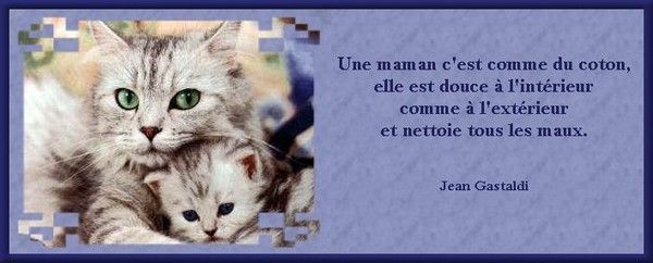 citation