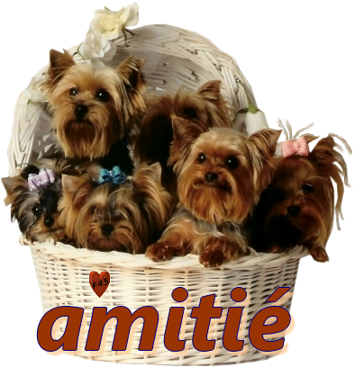 Amitié