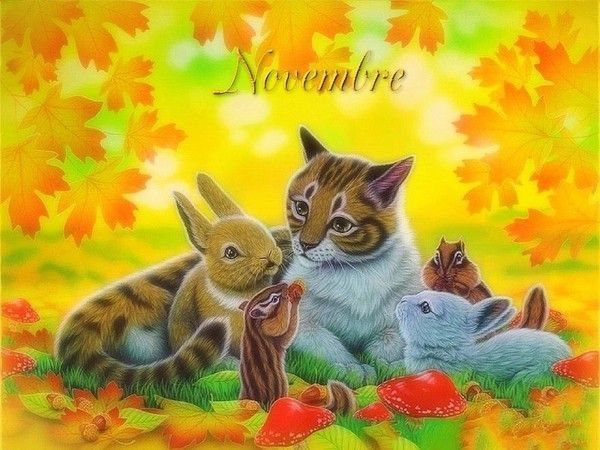 mois de novembre