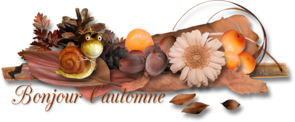 mon tube mot pour l'automne