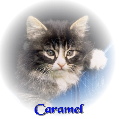 caramel