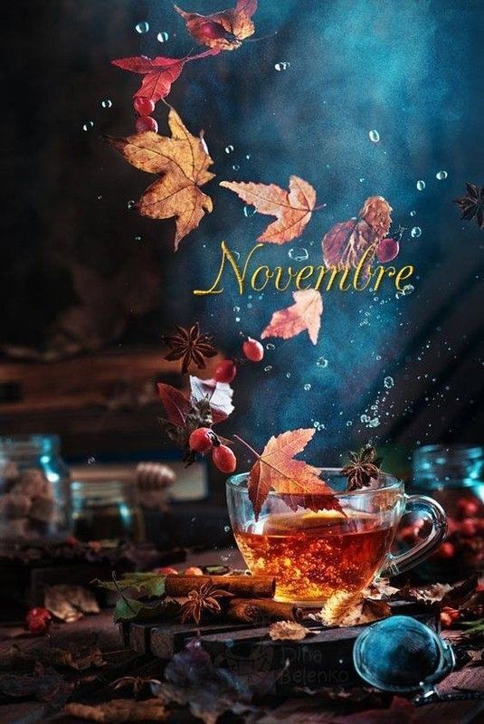 mois de novembre