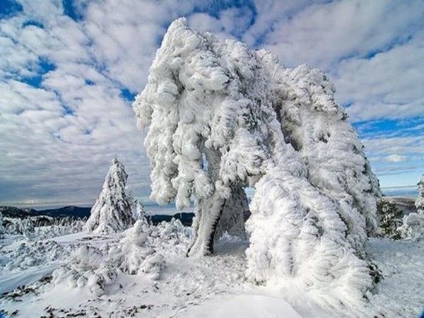 Paysage de neige