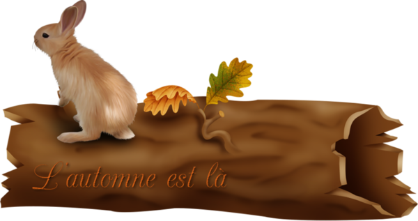 mon tube mot pour l'automne