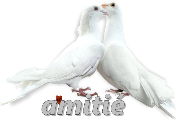 Amitié