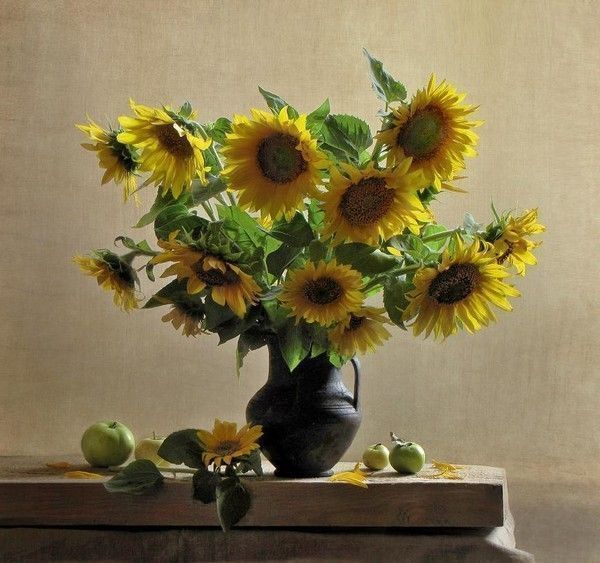 joli bouquet de tournesols