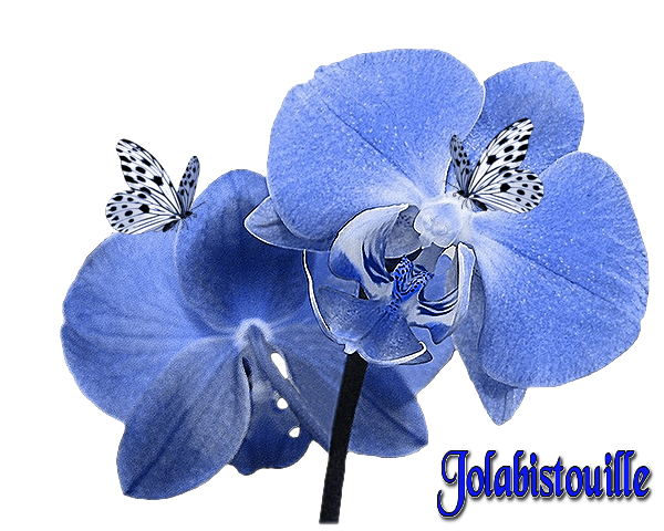 cadeau pour toi mon amie