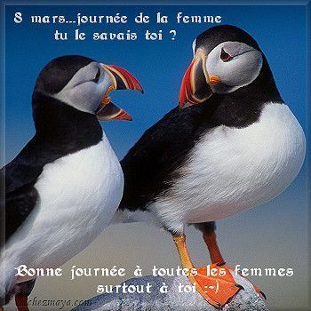 journée de la femme