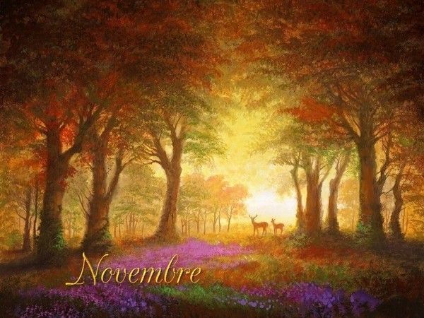 mois de novembre