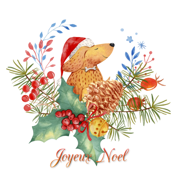 tube joyeux noël