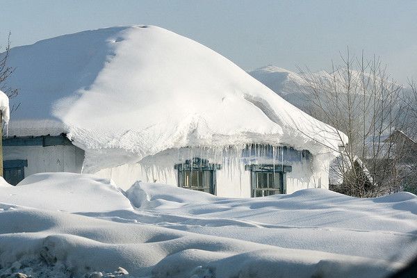 Paysage de neige