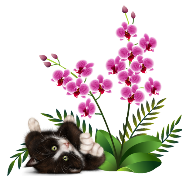 mon tube chat avec fleurs pour vos créas