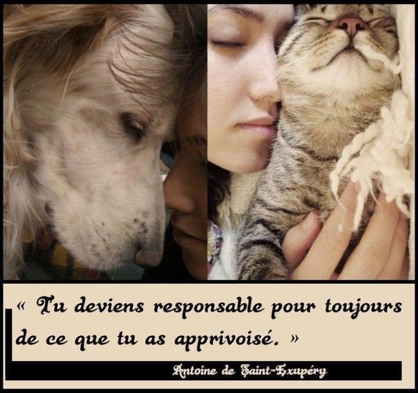 citation