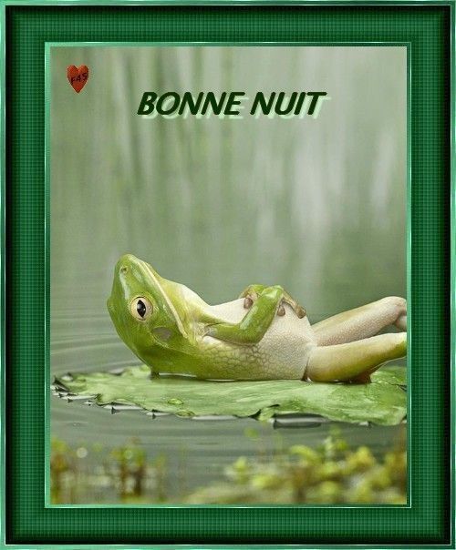 Bonne nuit