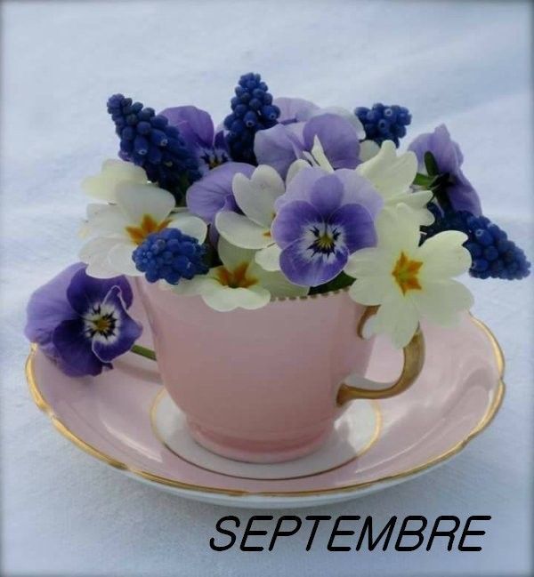 mois de septembre