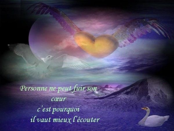 citation