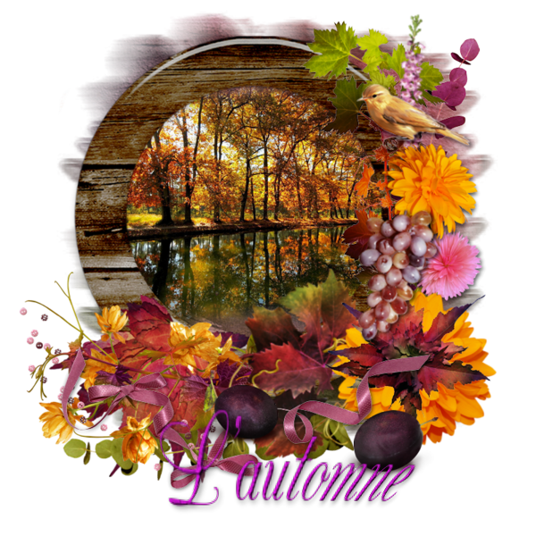 mon tube mot pour l'automne