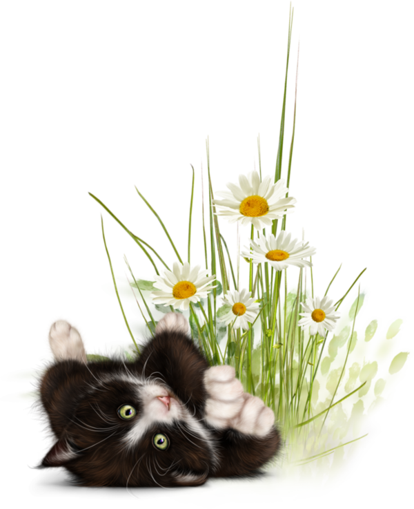 mon tube chat avec fleurs pour vos créas