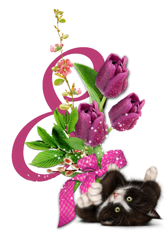 mon tube chat avec fleurs pour vos créas