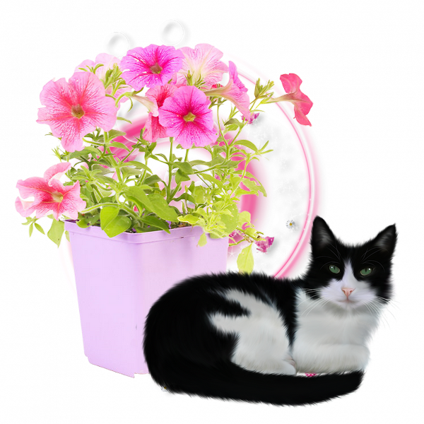 mon tube chat avec fleurs pour vos créas