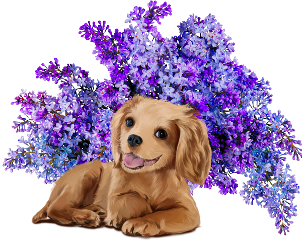 mon tube chien avec fleurs pour vos créas