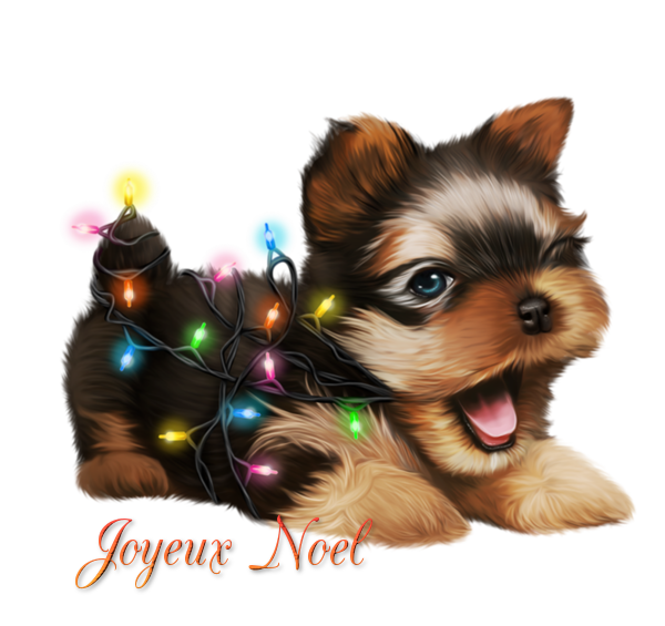 tube joyeux noël