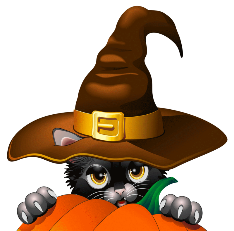 cat_hat_halloween_pumpkin_96973_4439x2576.png