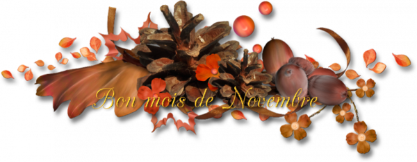 mon tube bon mois de novembre