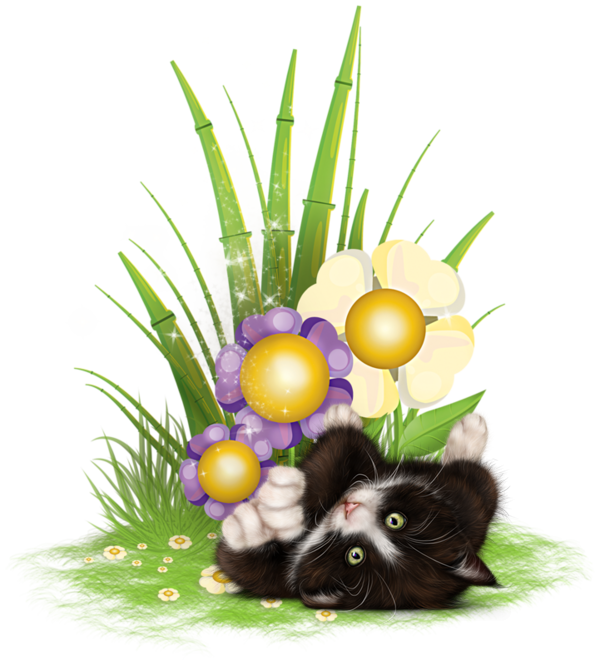 mon tube chat avec fleurs pour vos créas