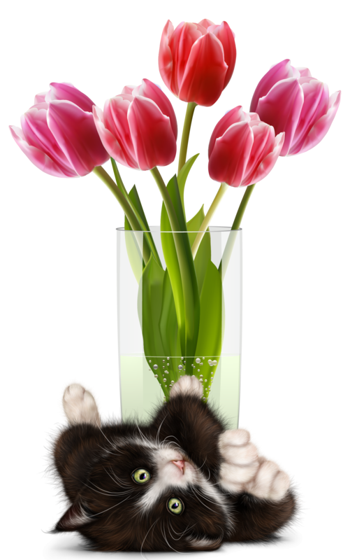 mon tube chat avec fleurs pour vos créas