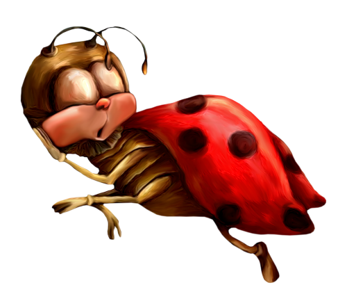 coccinelle5.png