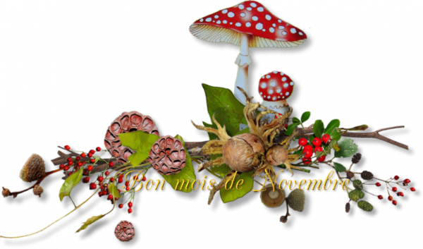 mon tube bon mois de novembre