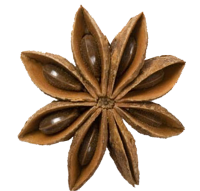 joli tube