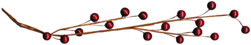 joli tube